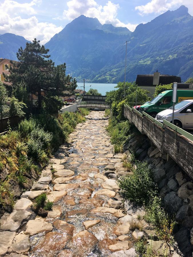 Hotel Sternen Sisikon Dış mekan fotoğraf